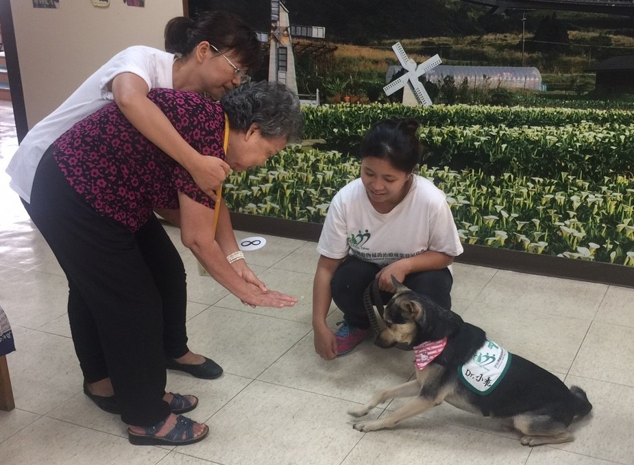 毛小孩討拍 馬偕醫院以動物輔助治療 讓失智長者笑了說明圖片