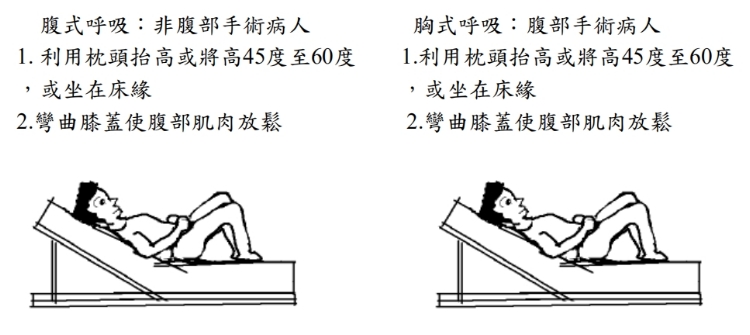 腹式呼吸與胸是呼吸示意圖