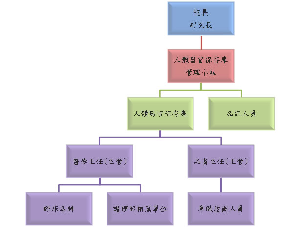 組織圖